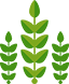 about-crops.png